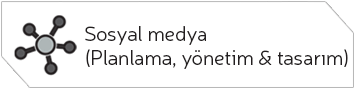 Sosyal Medya